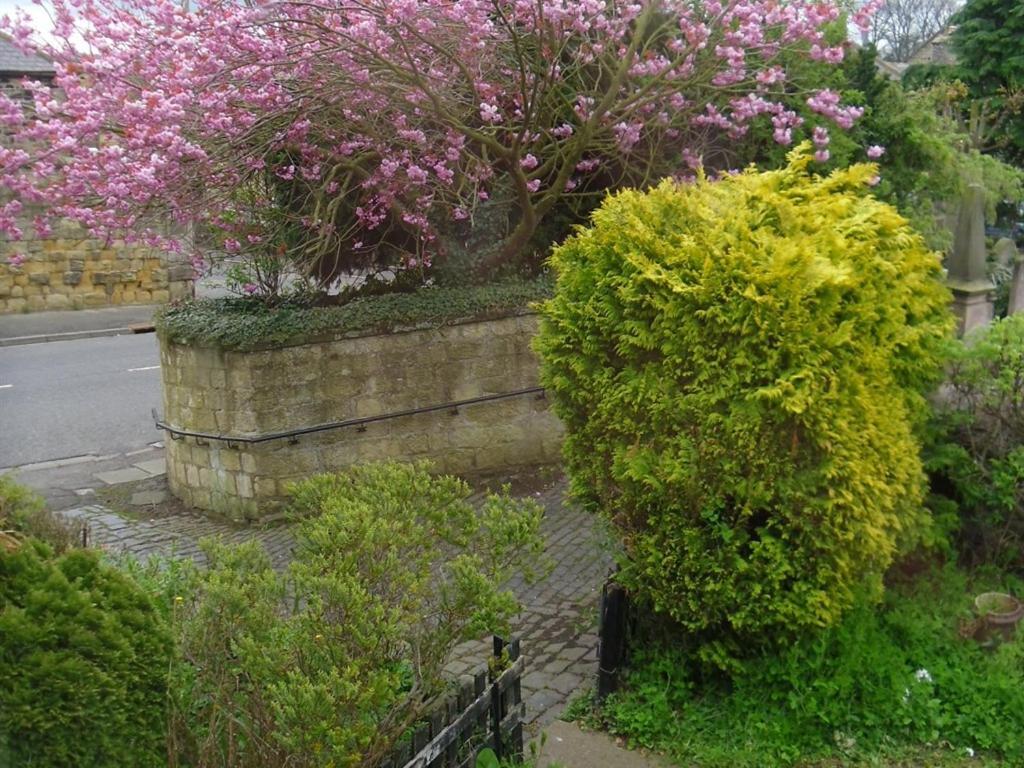 ベルフォード The Old Vicarage Bed & Breakfast エクステリア 写真